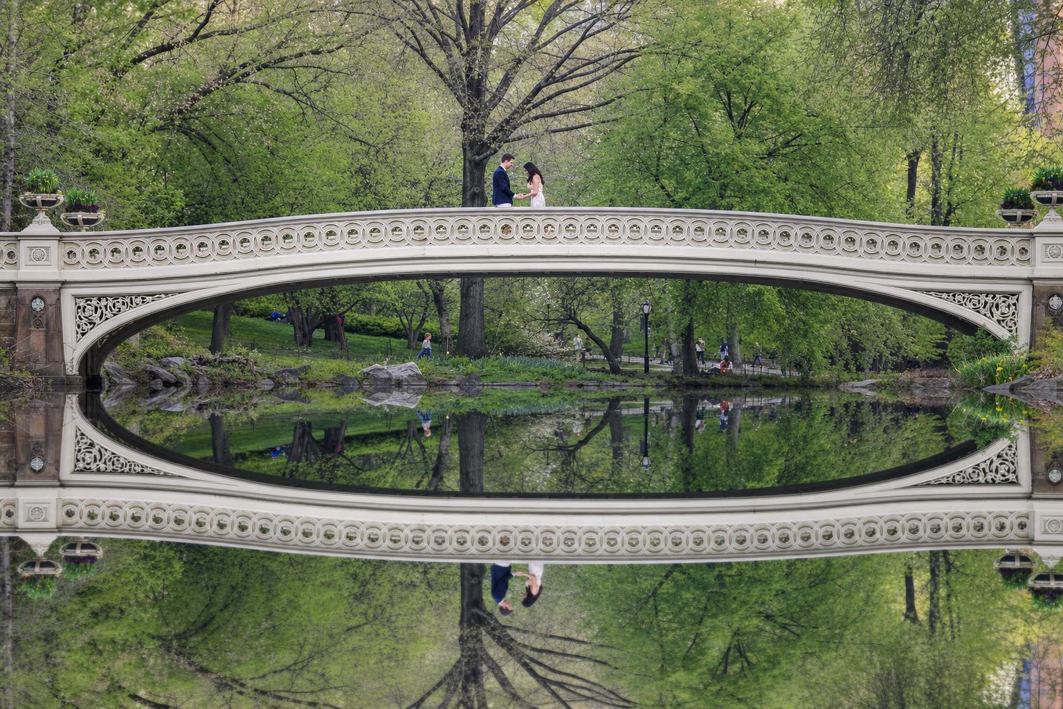 Bridge of Dreams Affair - Central Park bridge proposal package in New York