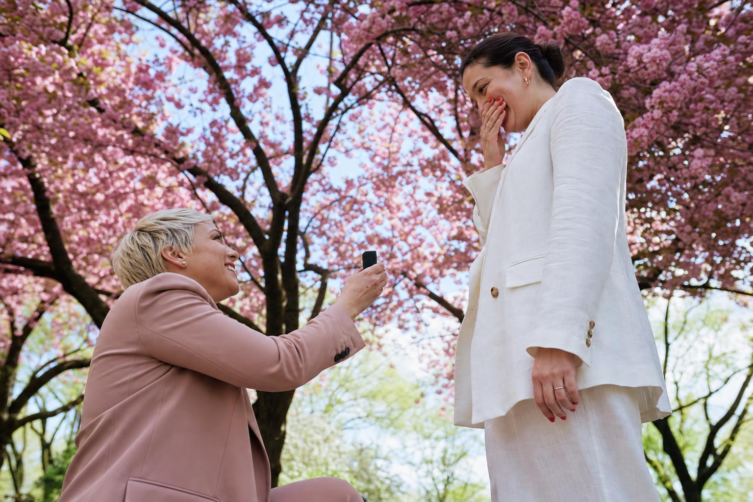 Plan your Botanic Garden proposal