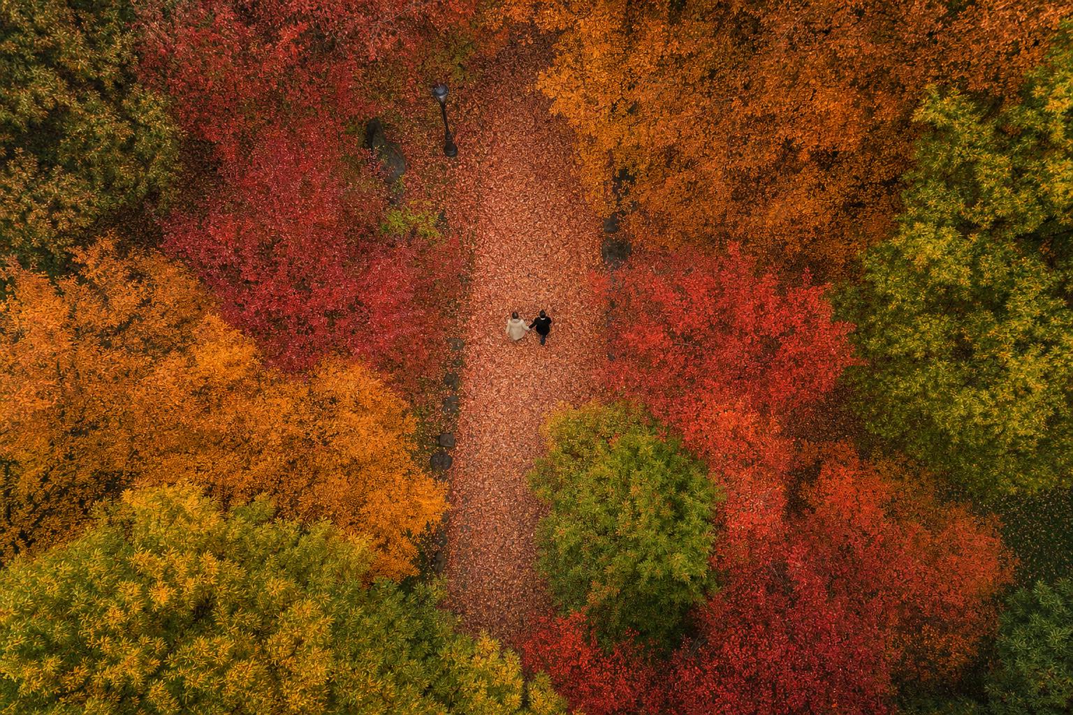 Fall