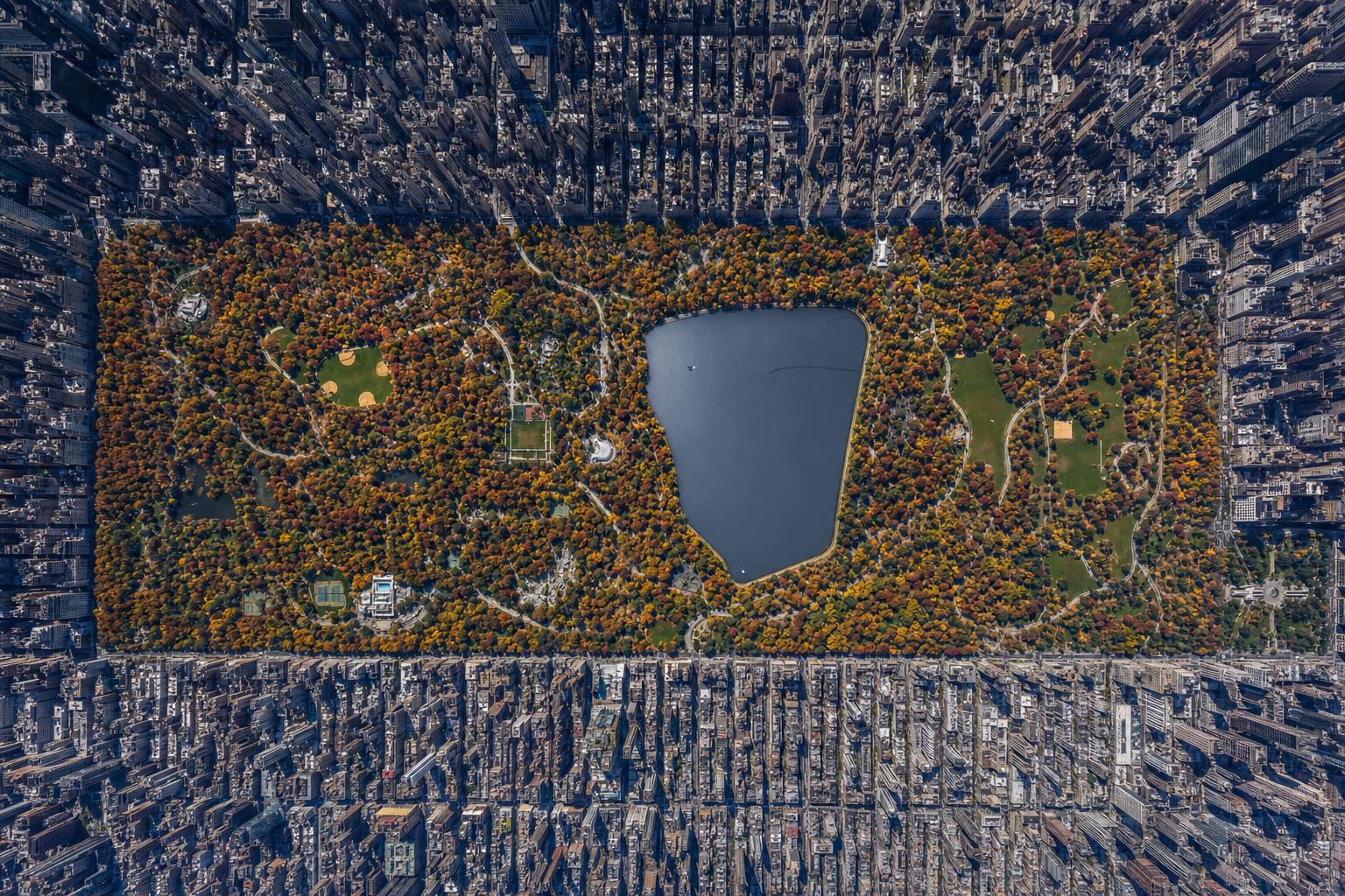 Why Foreigners Choose New York for Their Proposal